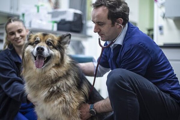 Danny Chambers MP (Winchester) with a Dog