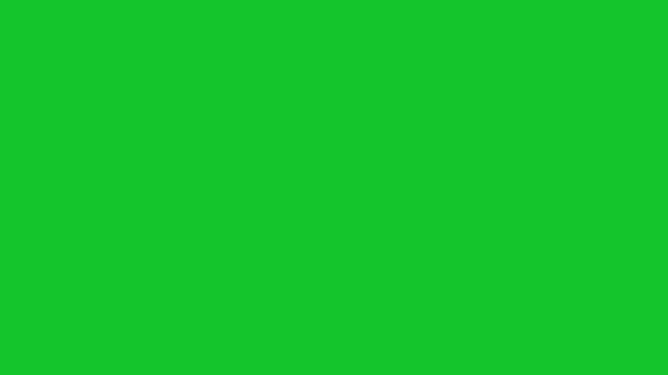 Green Party Green Green Party Green