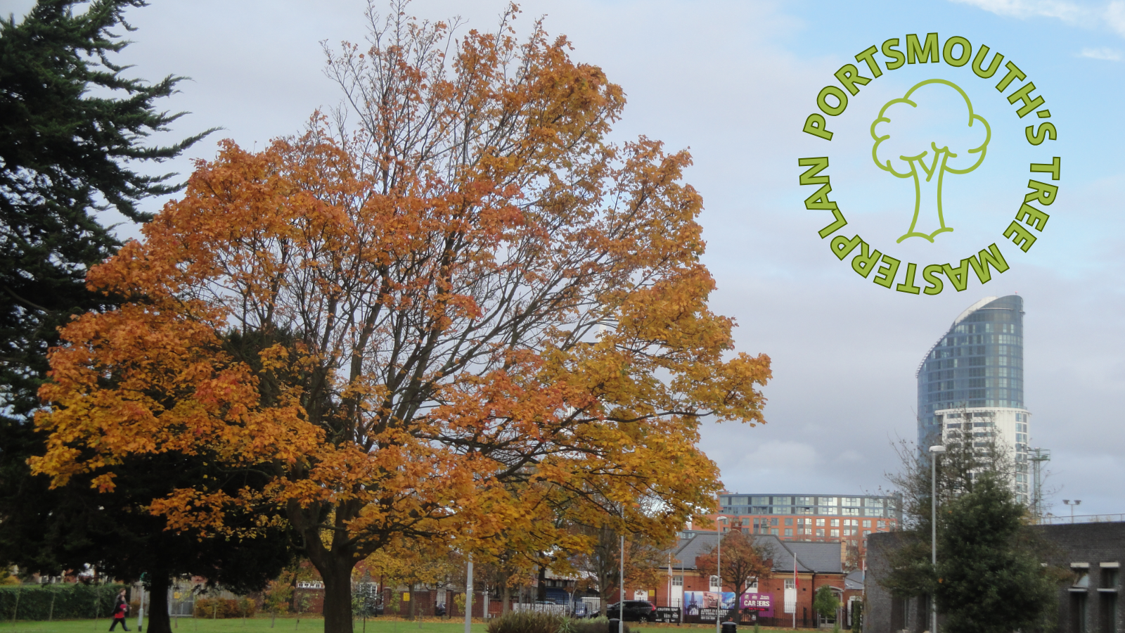Portsmouth Trees